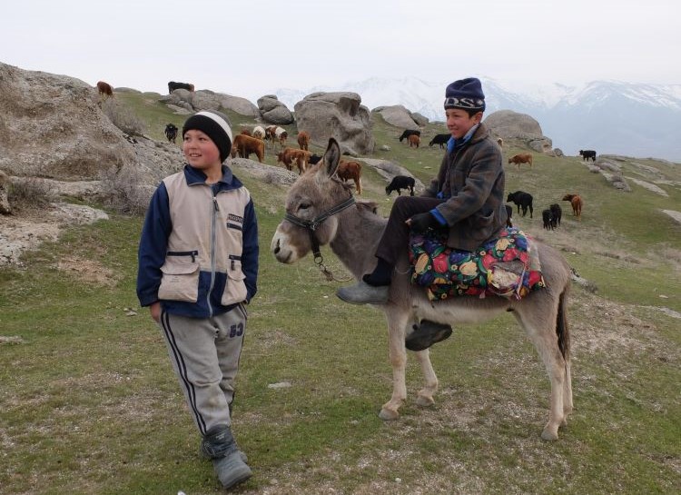 Immersion dans les villages ouzbeks 