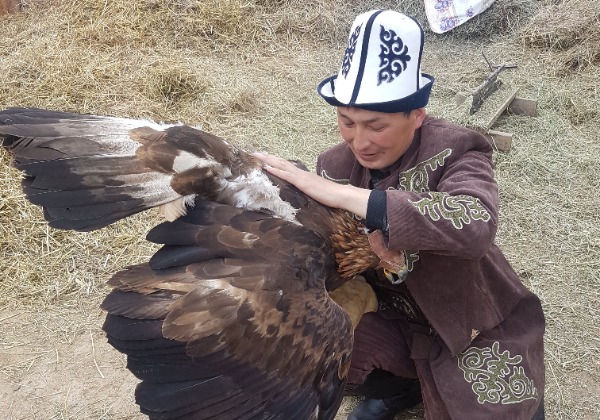 Aigle et son dresseur au Kirghizistan - Tourisme solidaire